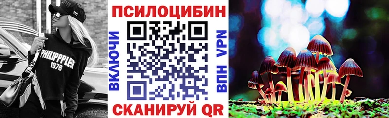 Псилоцибиновые грибы GOLDEN TEACHER  как найти закладки  Заозёрный 